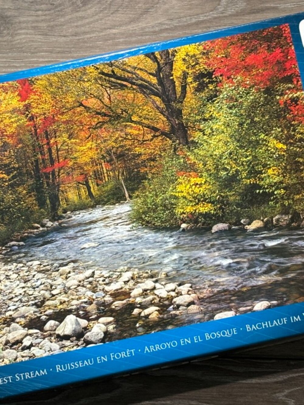 1000 Piece Eurographics Jigsaw Puzzle